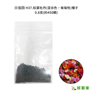 大包裝H37.松葉牡丹(混合色 匍匐性)種子0.8克(約450顆) 混合色 匍匐性 約7~10天發芽【綠藝家】