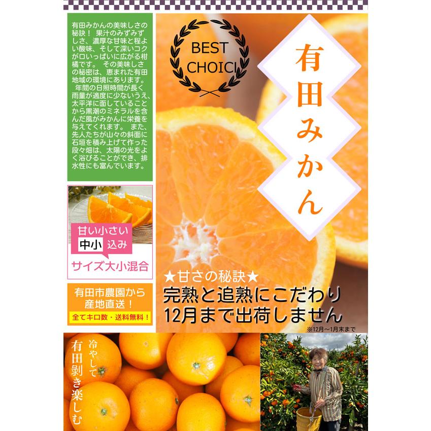 お歳暮　みかん 贈答用 完熟 有田みかん 5kg 贈答用 和歌山県 有田市産 甘い小玉 混合 有田ミカン ギフト 冬ギフト 果物 フルーツ 送料無料　和歌山みかん