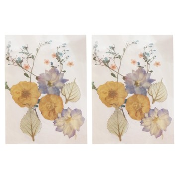 A-ONE 匯旺 真花壓花 中花包 AA10 14.5 x 10.5cm 2個  紫花異草