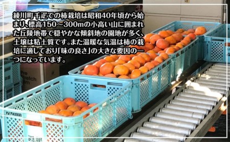 全国でも有名な「綾川町産千疋の柿」訳ありサイズ混合 約3.0kg