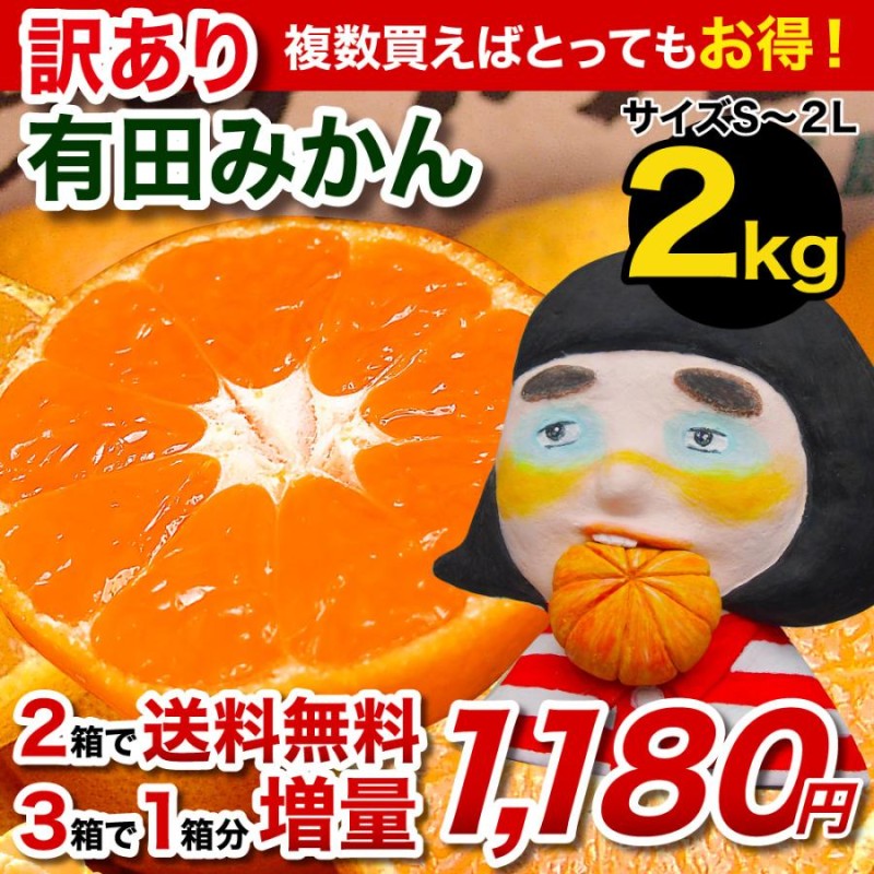 訳あり3L 5kg 15個　国産バレンシアオレンジ/箱何でも良い方用　有田みかん