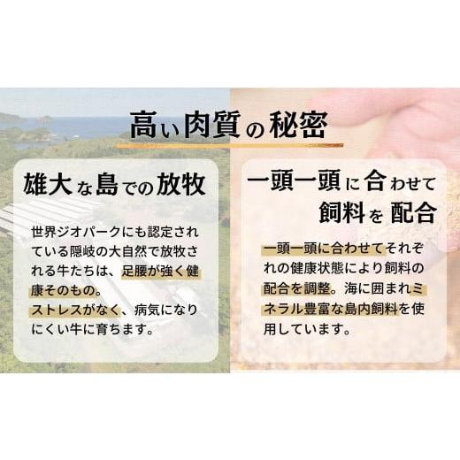 ふるさと納税 島根県 海士町 島生まれ島育ちのブランド黒毛和牛 隠岐牛 黒毛和牛 牛肉 肉 A4 A5 ブランド牛 ロ…