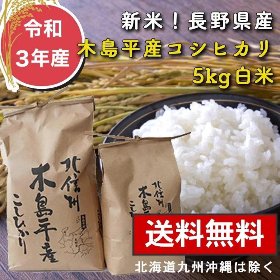 令和3年産 木島平産コシヒカリ5kg 白米 お米 こしひかり 送料無料