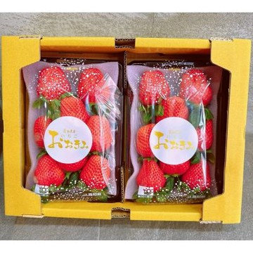 日本 高知縣 大妃美草莓｜日本草莓禮盒