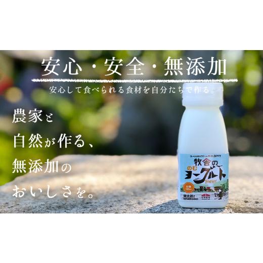 ふるさと納税 岩手県 雫石町 年間20万人が来店 搾りたて牛乳で作る 「松ぼっくり」 飲むヨーグルト （加糖） 150ml×15本 ／ ヨーグルト 詰め合わせ 飲みきり…