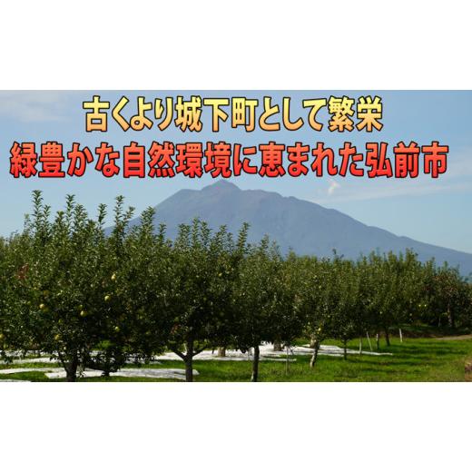 ふるさと納税 青森県 弘前市 1月発送 贈答規格 EMサンふじ約3kg 糖度13度以上