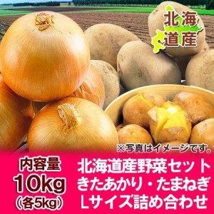 野菜セット 北海道産 じゃがいも きたあかり・玉ねぎ 10kg 各 5kg Lサイズ  野菜 セット 詰め合わせ 北あかり・たまねぎ