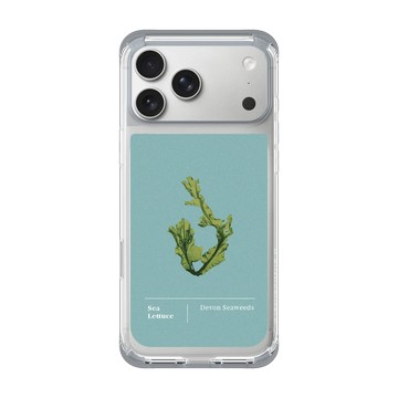 iPhone 17 Pro Max ClearX 霜透灰 - The Seaweed Studio - 德文郡・美扇藻研習