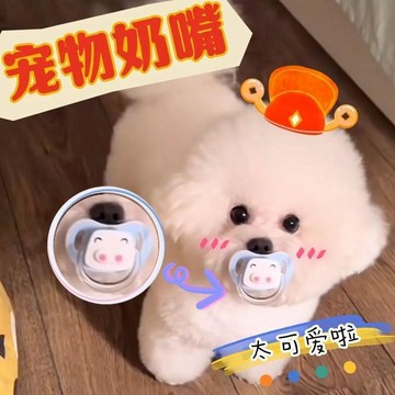 【48時熱賣】夏季新款比熊犬專用奶嘴狗狗安撫小狗寵物玩具磨牙生活遊戲周邊