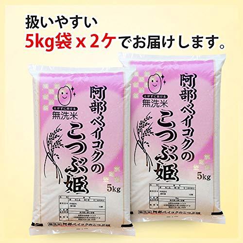  無洗米 10kg (5kgx2袋) こつぶ姫 山形県産 白米