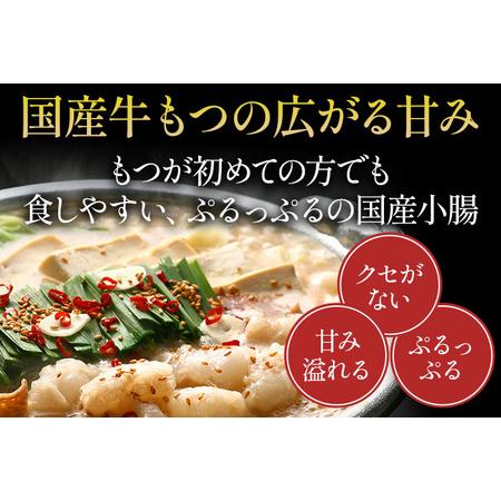 ふるさと納税 博多若杉 牛もつ鍋 8〜10人前（醤油味） 福岡県志免町