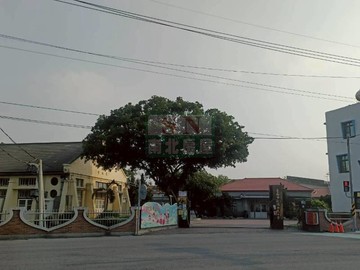 鹽水歡雅國小大面寬農地｜台南市鹽水區番子厝段