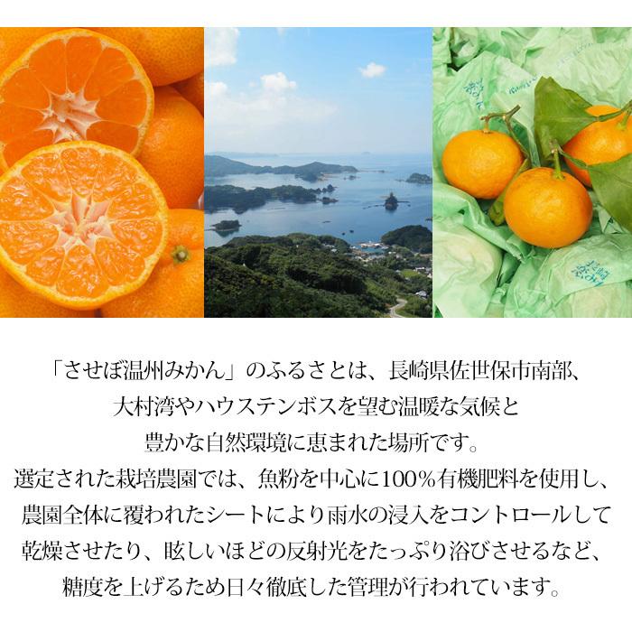 みかん 長崎県産 味まる 大 約4.5kg 2L〜3Lサイズ 20〜30個