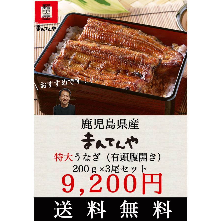 ギフト うなぎ まんてんや 国産 鹿児島 うなぎ蒲焼き 送料無料 鹿児島県産 うなぎ蒲焼き 3尾セット 600g ウナギ 母の日 父の日 ギフト 海産物