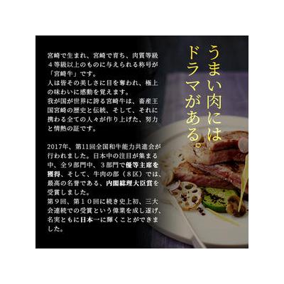 ふるさと納税 椎葉村 受賞歴多数!! 宮崎牛 ロースステーキ 250g×2