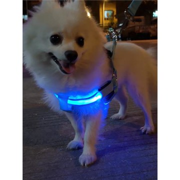 狗狗牽引繩背心式LED發光胸背泰迪鏈子夏天夜光狗繩小型USB充電