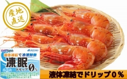 超速リキッド凍結でドリップゼロ！北海道羽幌産生鮮ぼたんえび 1kg（200g×5パック）