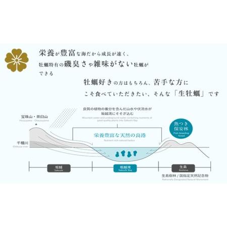 ふるさと納税  牡蠣 坂越かき 殻付き牡蠣 45個 軍手・オイスターナイフ付き[ 生牡蠣 かき カキ 殻付 生食 冬牡蠣 兵庫県赤穂市