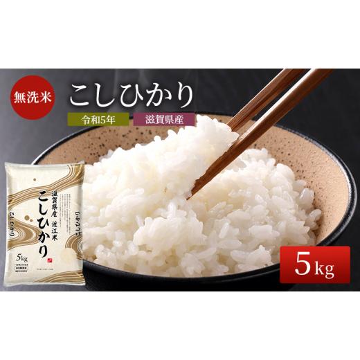 ふるさと納税 滋賀県 豊郷町 米 こしひかり BG無洗米 5kg 令和5年 ふるさと応援特別米 無洗米 お米 こめ コメ おこめ 白米 コシヒカ…