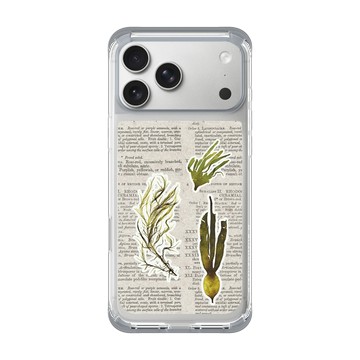 iPhone 17 Pro Max ClearX 霜透灰 - The Seaweed Studio - 海境極簡