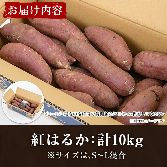 akune-2-151 ＜訳あり＞鹿児島県産さつまいも｢紅はるか｣(計10kg)国産 熟成 詰め合わせ 野菜 さつま芋 焼芋 鹿児島産 大小混合 期間限定2-151