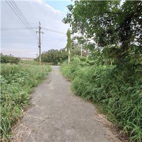 近學甲市區信義路都市計畫內農地｜台南市學甲區5561信義段
