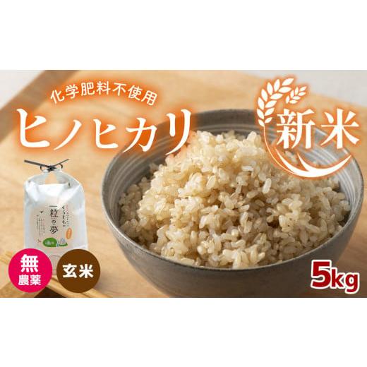 ふるさと納税 山口県 美祢市 無農薬・化学肥料不使用 ヒノヒカリ(玄米) 5kg