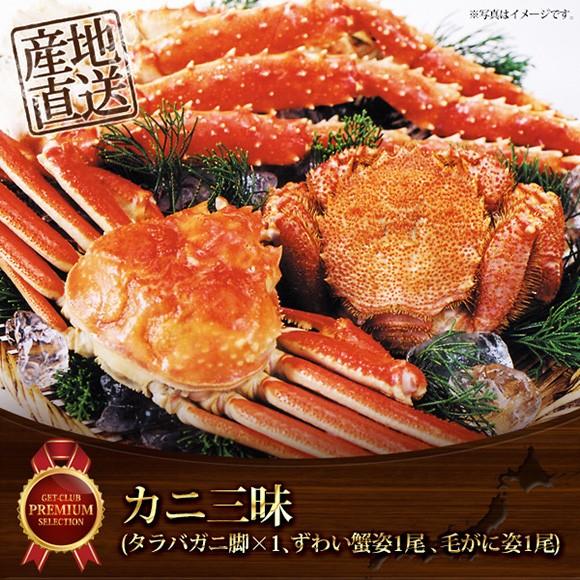 ゴルフコンペ 景品 カニ三昧 目録 引換券 A3パネル付