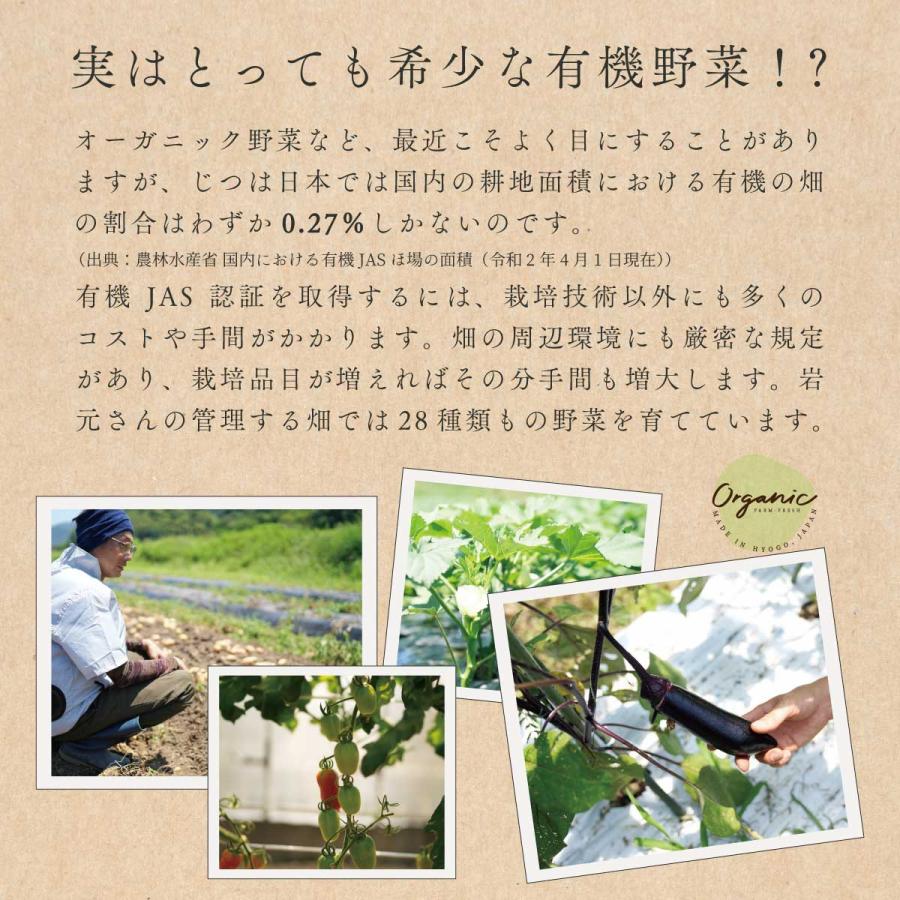 野菜セット 有機 詰め合わせ 7品目 兵庫県産  産地直送 クール便 国産 農家直送 有機野菜セット