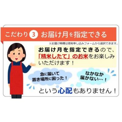 ふるさと納税 甲佐町 無洗米16kg×6ヶ月(5kg×2袋、6kg×1袋)『甲佐の輝き』Z