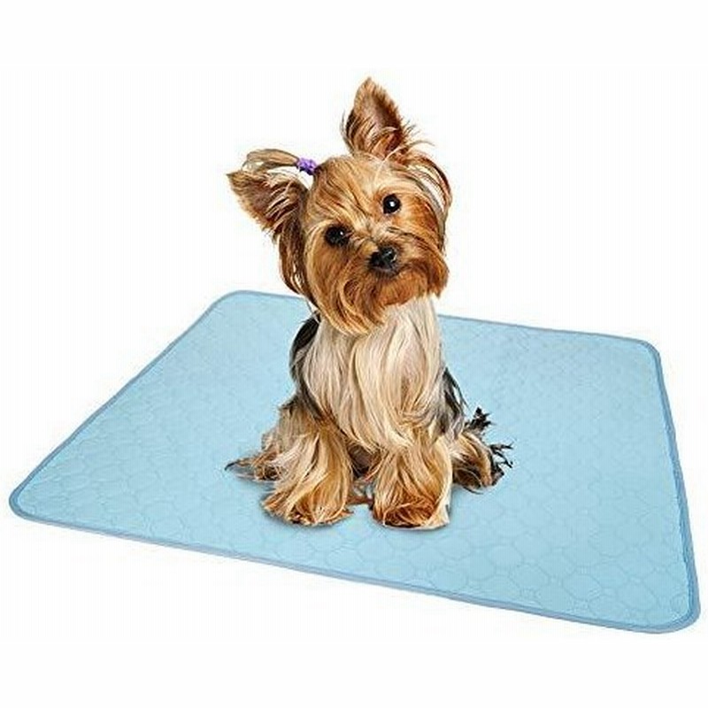 限定販売 ペットシーツ 洗える ペット用おしっこマット 猫 犬用 おしっこパッド ペット用 トイレ下敷きマット 速乾 大判サイズ 多頭飼いに最
