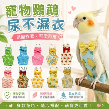 寵物省錢鋪】鸚鵡屎兜牡丹玄鳳虎皮鸚鵡屎兜便兜紙尿褲小鳥專用衣服鸚鵡尿不濕 寵物用品 出貨 鸚鵡尿布 寵物尿布 寵物紙尿褲