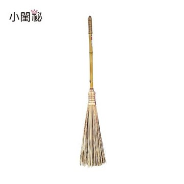 【小閨祕】彈力庭院掃