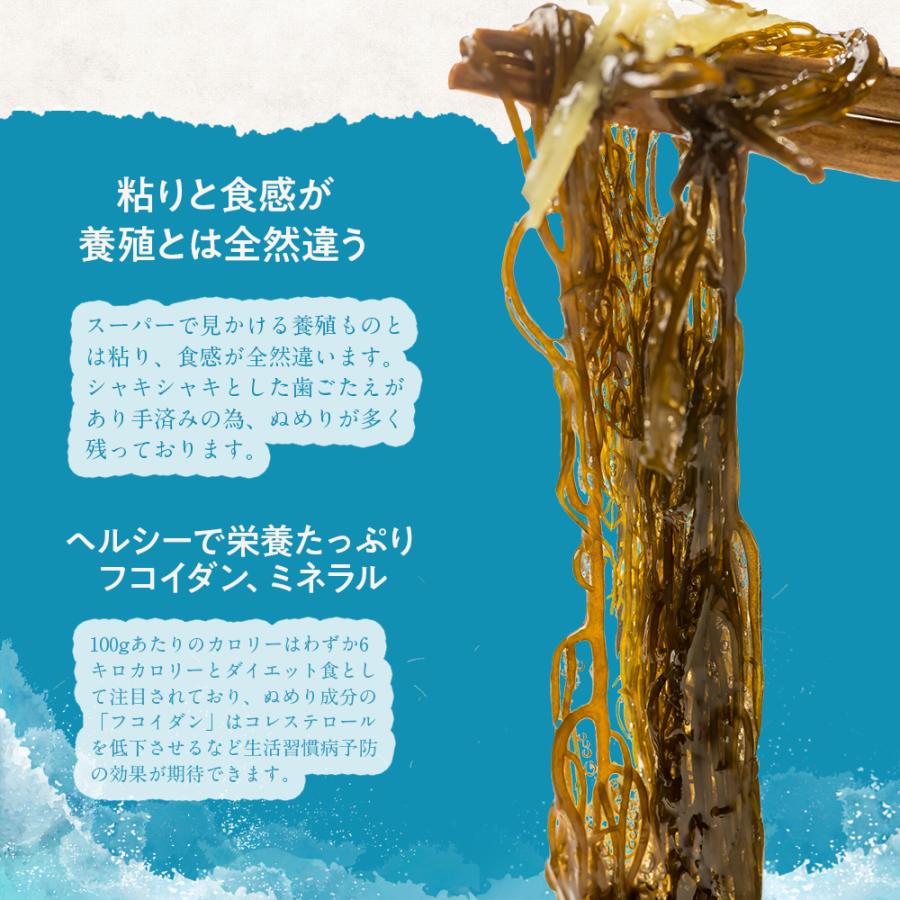 シャキシャキ食感 青森県産 天然岩もずく 300g×1パック 冷凍 湯通し済み 塩抜き不要 天然の手摘みモズク ボイル もづく 海藻 もずく 通販 お取り寄せ 人気