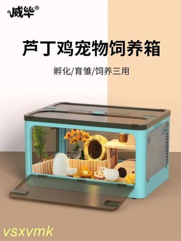 【最低價】【公司貨】【免運】優惠價✅蘆丁雞飼養箱觀賞專用籠子雞窩全套造景用品寵物保溫盒盧丁雞房子