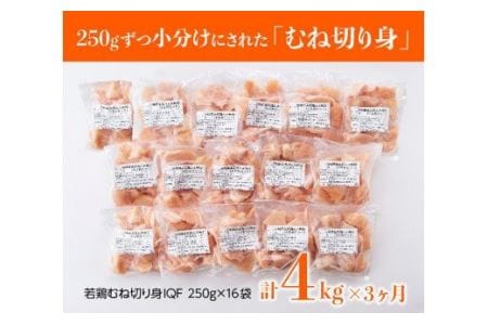 宮崎県産 若鶏 むね 肉 切身 4kg(250g×16袋) 3ヶ月定期便