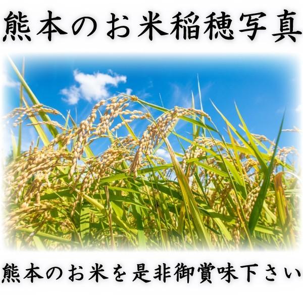 お米 米 10kg 玄米 送料無料 熊本県産 ひのひかり 新米 令和5年産 ヒノヒカリ あすつく 5kg2個 くまもとのお米 富田商店 とみた商店