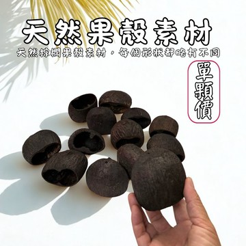 【自然屋精品】DIY工藝素材 棕梠果殼 水鈴桐 扇椰子 果殼 椰殼 水椰 手作材料 印尼天然棕梠果殼 天然果實 天然果殼