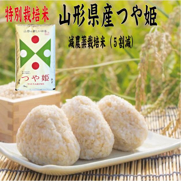 減農薬栽培米 令5年新米　玄米5kg　送料無料　特別栽培山形つや姫