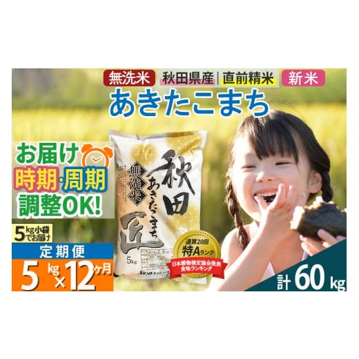 ふるさと納税 秋田県 仙北市 ＜新米＞《定期便12ヶ月》秋田県産 あきたこまち 5kg (5kg×1袋) ×12回 令和5年産 発送時期が選べる 周期調整OK 隔月…