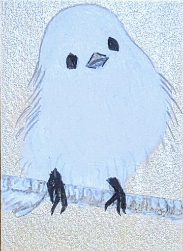 動物系列　銀喉長尾山雀