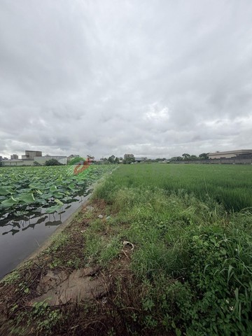 大竹中興段方正農地　近中興路、節稅第一選、誠意賣｜桃園市蘆竹區中興