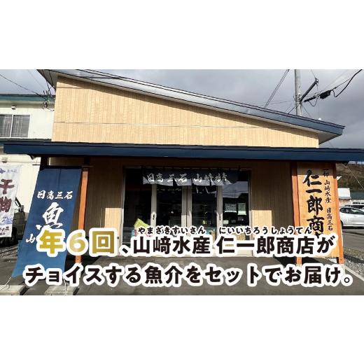 ふるさと納税 北海道 新ひだか町 ＜定期便6回＞北海道産 旬 の お魚 4~5種  定期便 お魚 魚 旬のお魚 お楽しみ セット