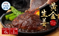 食べ比べ！老舗レストランの国産牛・美鮮豚ハンバーグ130g×6ケ＋ソース3種各1袋 ハンバーグ セット 11000円 トマトソース デミグラス 牛肉 豚肉 和牛 美味しい おいしい 小分けパック 個包装 冷凍 故郷納税 返礼品 高知 贈り物 ギフト 熨斗