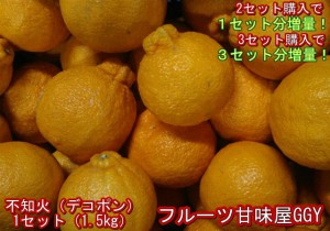 不知火　訳あり　デコポンと同品種　１セット1.5kg　熊本産　２セット購入で１セットおまけ！３セット購入で3セットおまけ！