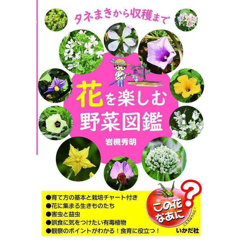 花を楽しむ野菜図鑑