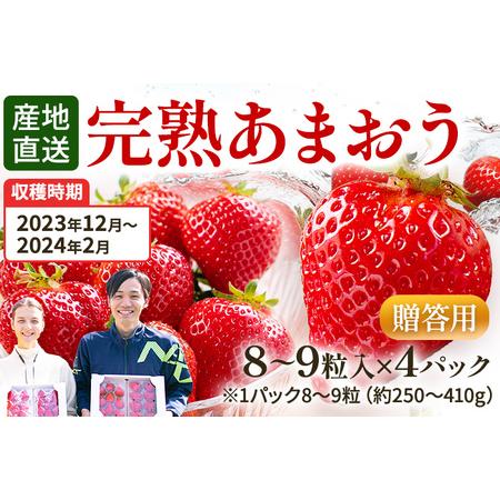 ふるさと納税 福岡県田川市産 あまおう 8or9入り×4パックイチゴ いちご 苺 贈答にも 福岡県田川市