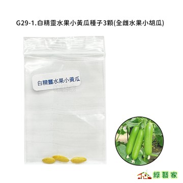 G29-1.白精靈水果小黃瓜種子3顆(有藥劑處理)(全雌水果小胡瓜)F1，全雌性，生長勢強，產量高。果皮光滑【綠藝家】