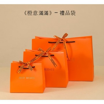 新款禮物袋10入/包 🎁附絲帶 禮品 提袋 手提袋 服裝袋 高檔紙袋 包裝袋 服飾 禮物袋 婚禮紙袋 活動禮物包裝