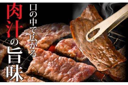 福井県産若狭牛 赤身焼肉 300g [A-015010]